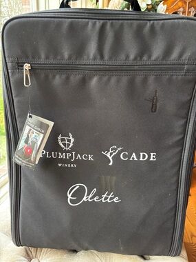 Wine case luggage